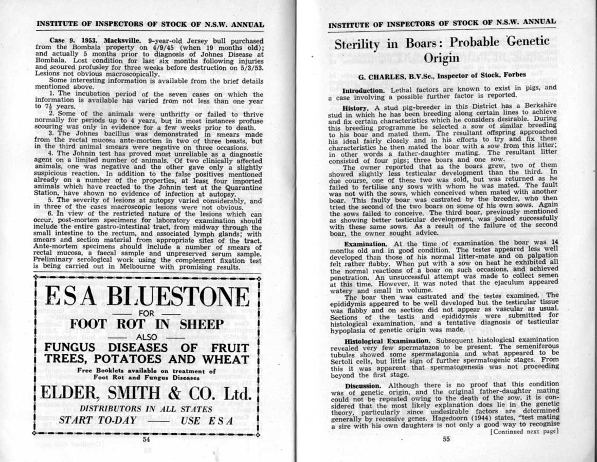 1953 Page 054 055